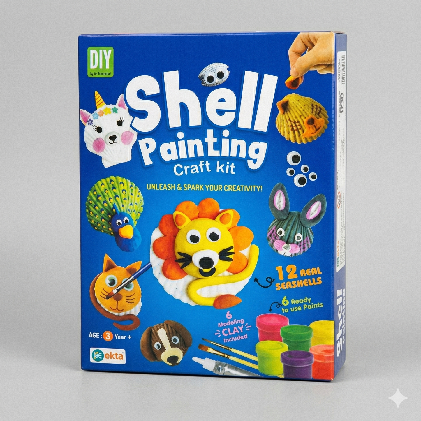 PecoToys Shell Painting Craft Kit